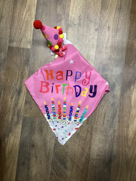 Pink Birthday Porch Goose Outfit