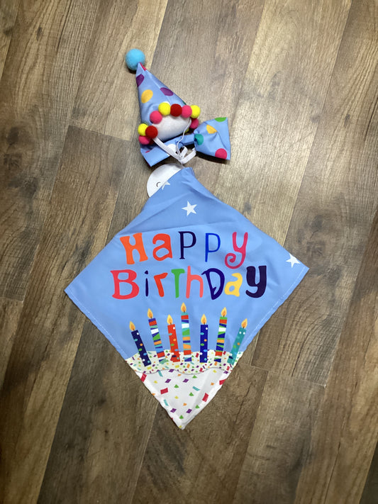 Blue Birthday Porch Goose Outfit