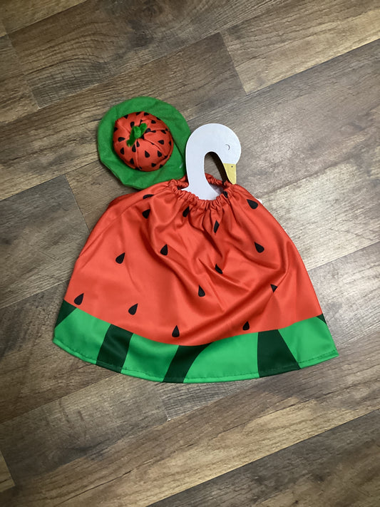 Watermelon Porch Goose Outfit