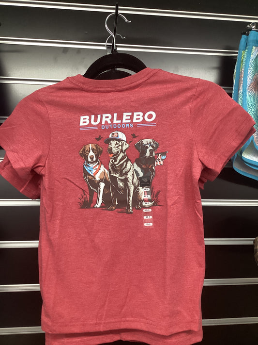 Youth Short Sleeve Tee - American Dogs - Heather Crimson