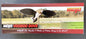 Mojo HW2300 Voodoo Motorized Dove