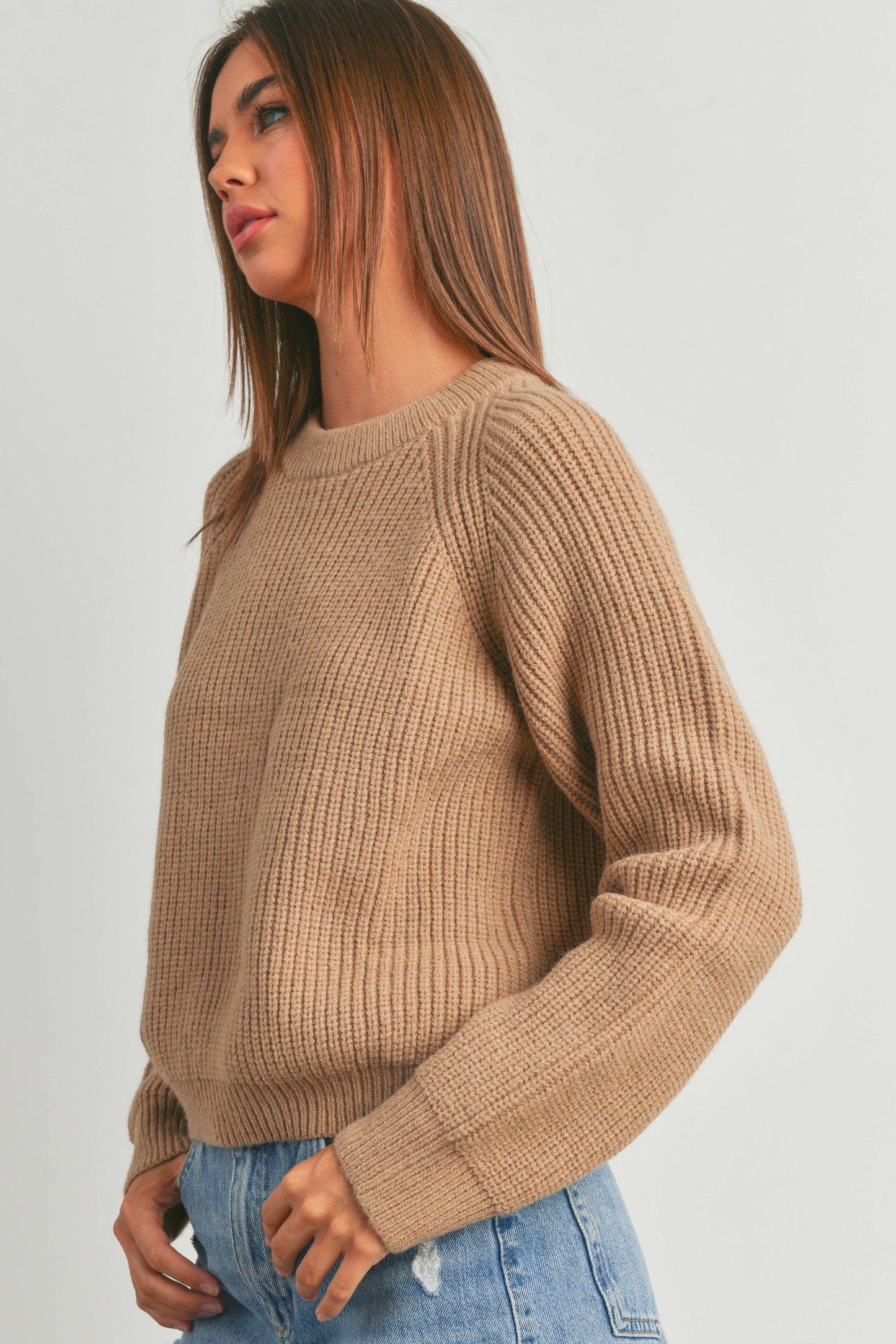 ROUND NECK WITH RAGLAN LONG-SLEEVE SWEATER - TAUPE